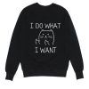 I Do What I Want Cat Sweater