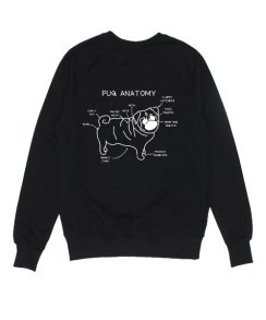 Pug Anatomy Sweater