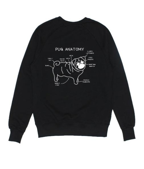 Pug Anatomy Sweater