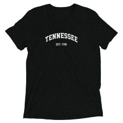 Tennessee Gift State USA Tee